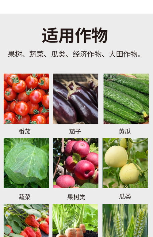 高效植物营养新选择 80%高含量游离氨基酸原粉在叶面肥中的应用与出口优势